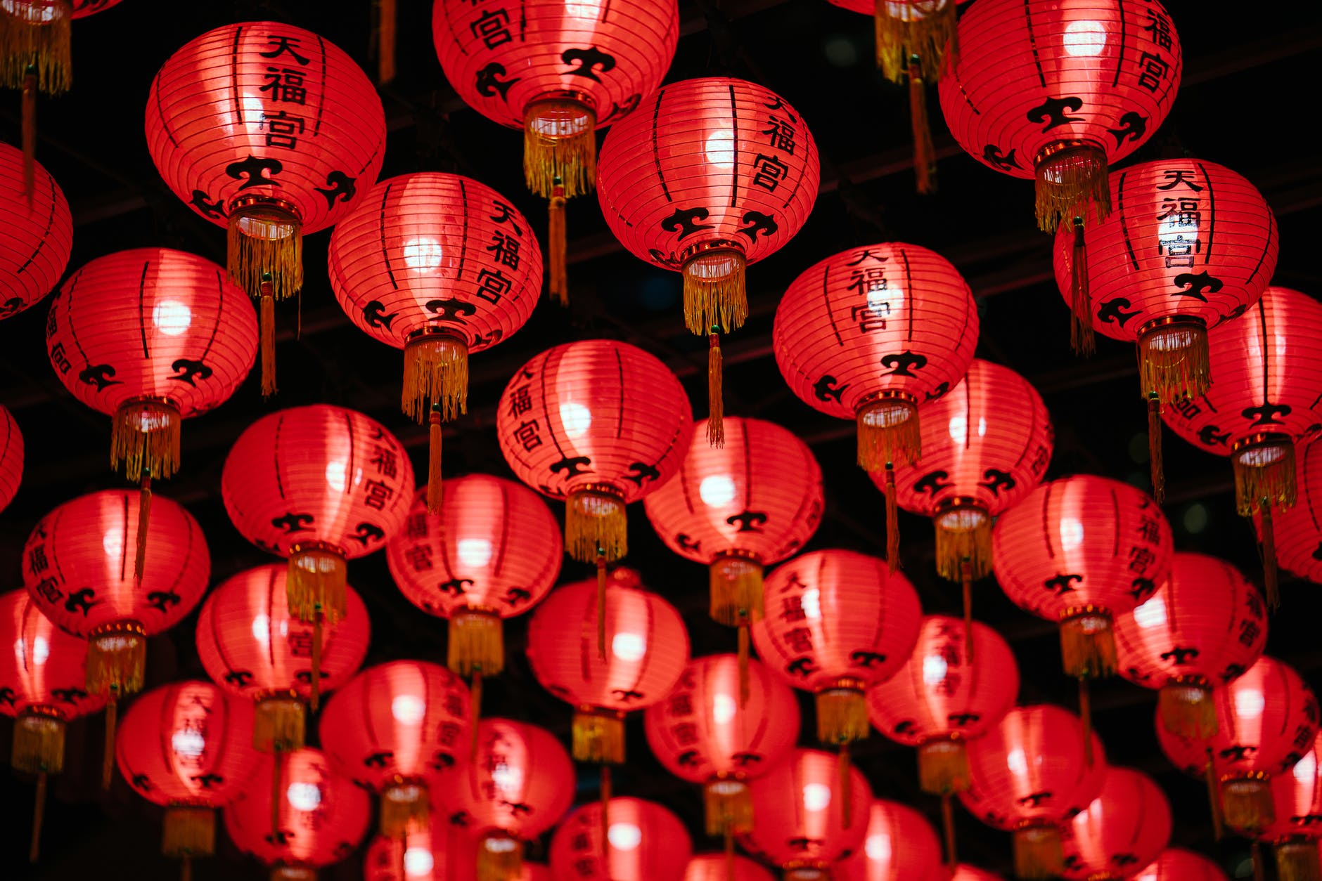 photo of red paper lanterns in green capsicums choking the cost of living