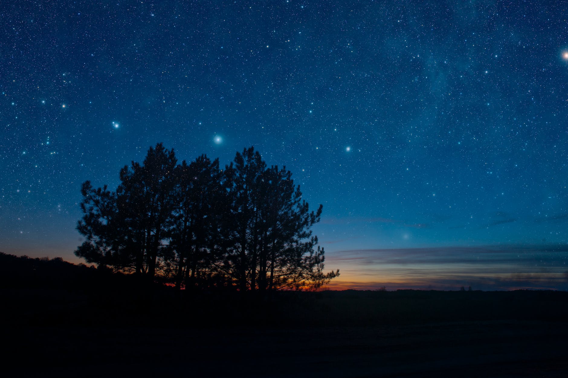 The astrology of golf silhouette of trees during nighttime