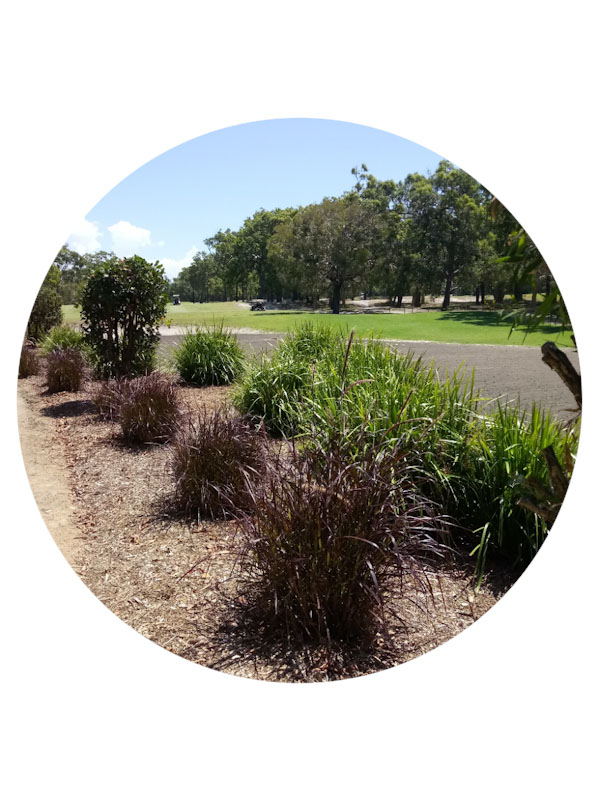 Bribie Island golf course Woorim