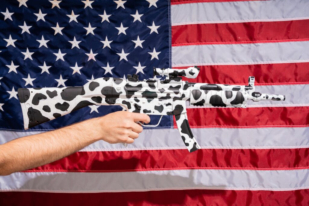 toy rifle in front of an american flag