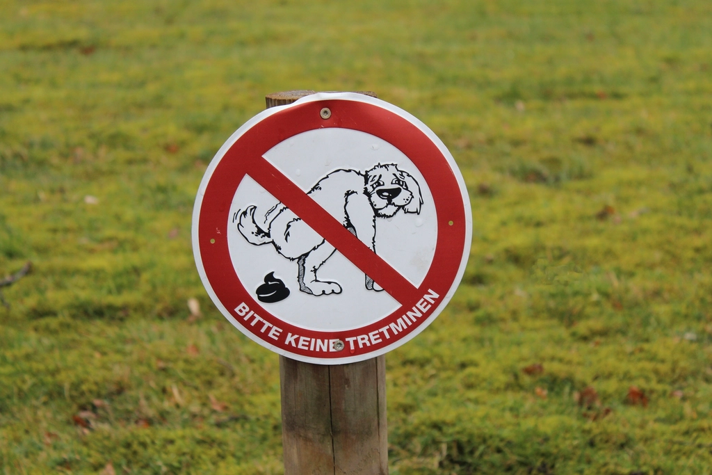 Sign indicating no dog poop