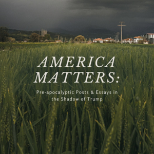 America Matters PDF version by Robert Sudha Hamilton