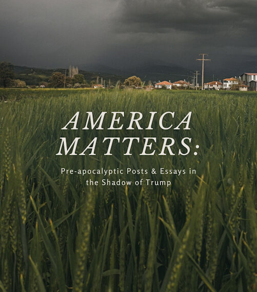 America Matters PDF version by Robert Sudha Hamilton