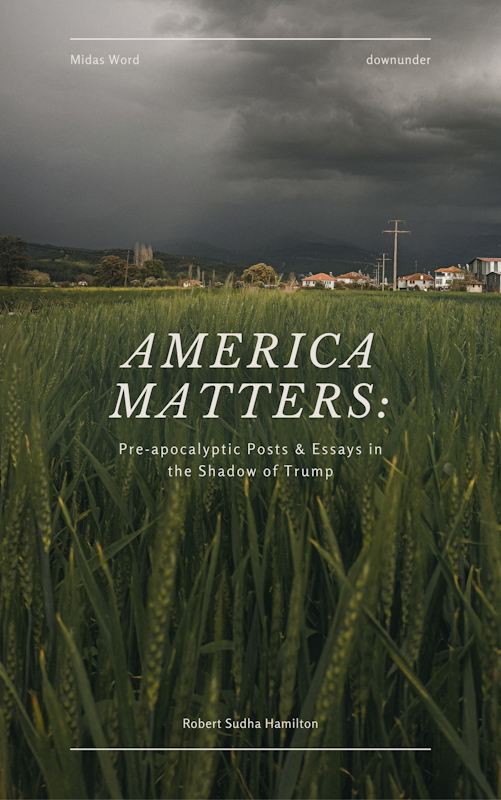 America Matters PDF version by Robert Sudha Hamilton